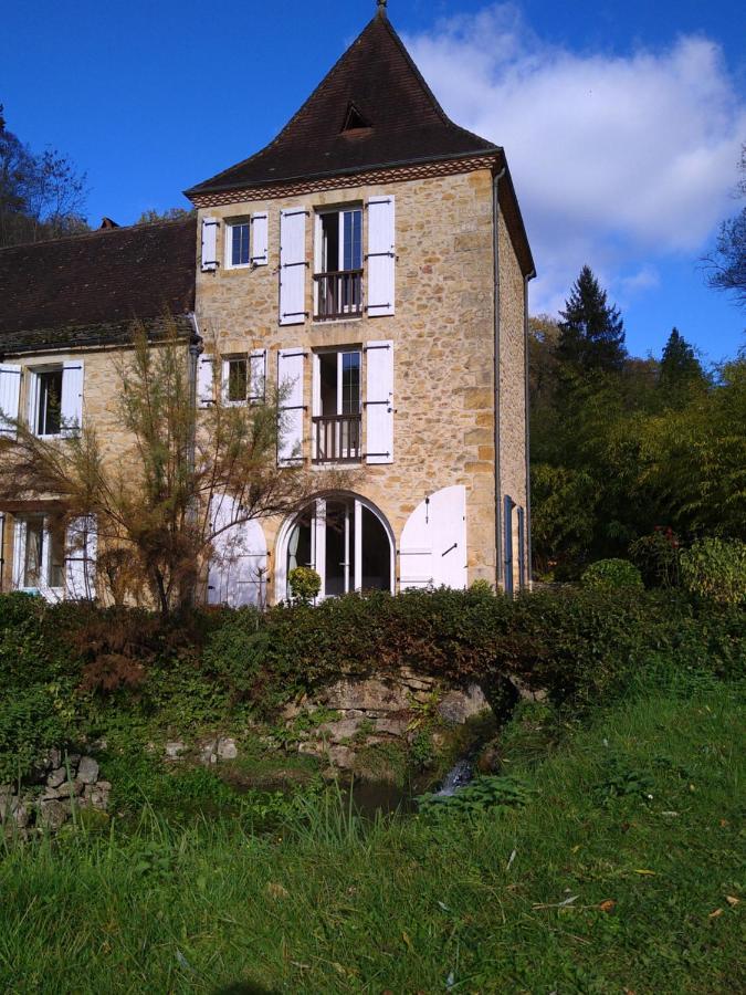 Gite Du Moulin De La Roque Castels Exterior foto